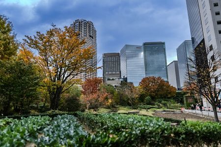 秋と都会のコラボ