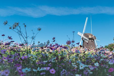 風車のある風景２