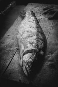 市場体験ツアー