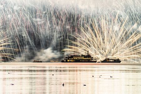 水鳥も見惚れる花火