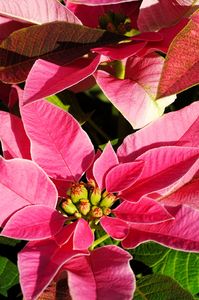 思いやりのある人に育って欲しい