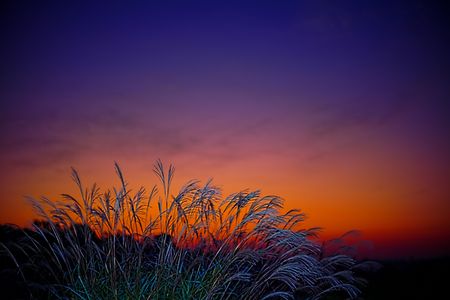 うそうそ時に揺れる