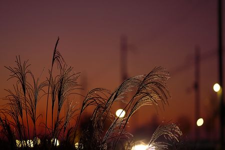 夜明けのひとときに