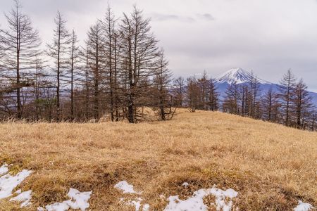 冬の山歩き