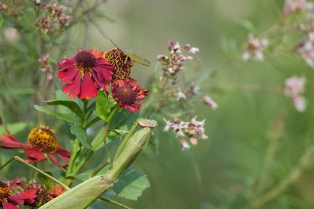 逃した獲物は大きい