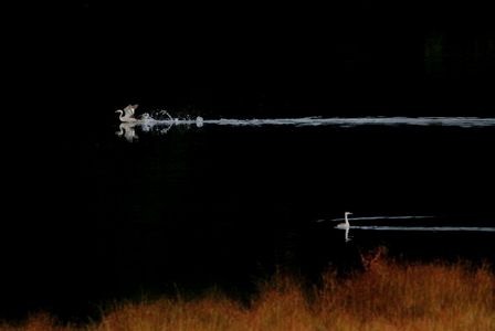 2025.11.1  直往邁進