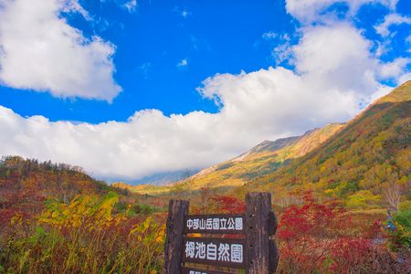 秋の便り～栂池自然園～
