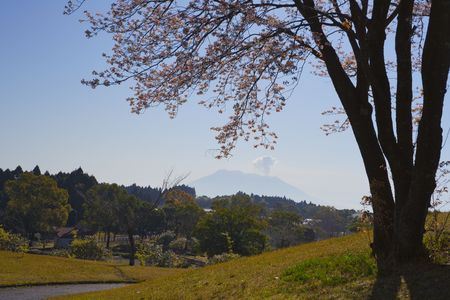 春霞の桜島