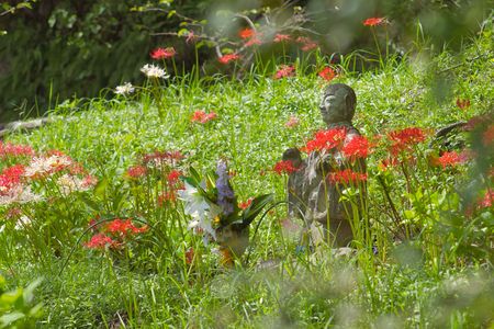 彼岸花に囲まれて