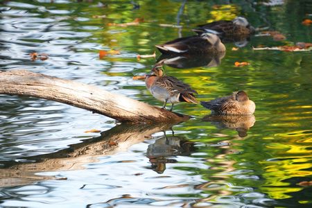 公園での一コマ