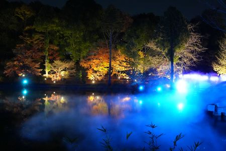 夜の薬師池公園