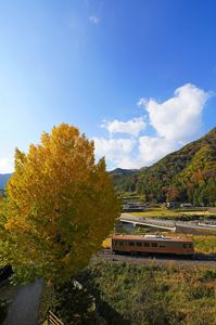秋　名松線の大イチョウ　青空を添えて