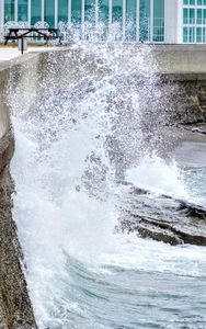 １１月１１日 千葉県の海①