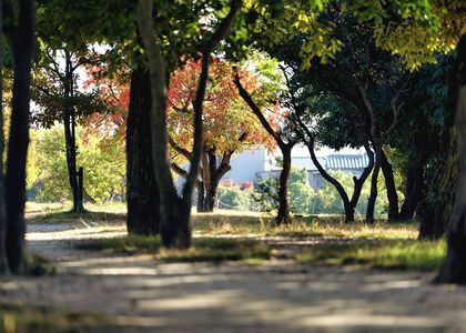 やっと見つけた小さな秋