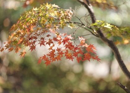 近くの公園にて