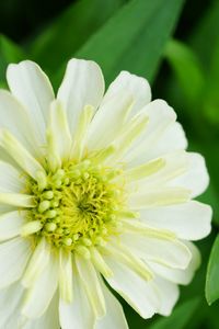 永遠に変わらない心