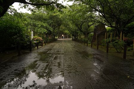 雨の参道