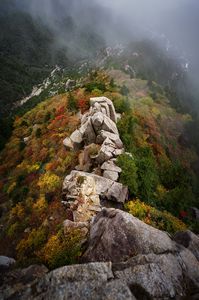 緊迫の眼下に秋の彩