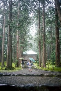 「こっちだよ」