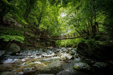 秘境にかかるかずら橋