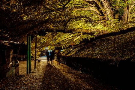 ちちこぶさんの下で