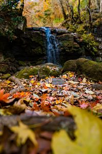ほら足元を見てごらん
