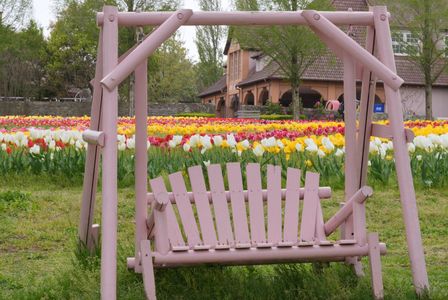 ブランコの奥からこんにちはー🎶　#フラワー2025#