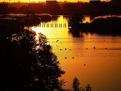 陽が沈む直前の福島潟