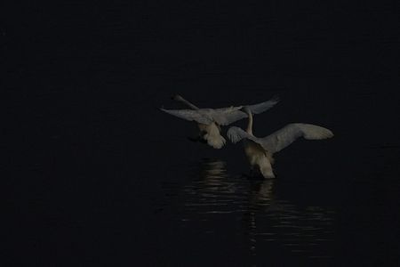 マジックアワーも終わり