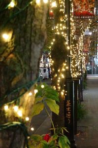 師走の並木通り