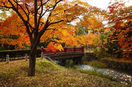小春日和は紅葉日和