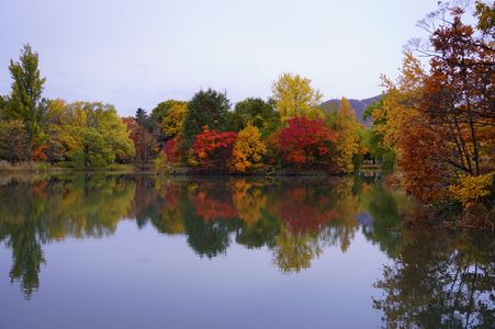 安心の中島公園　２０２５