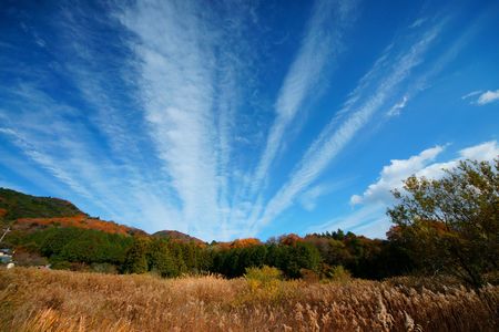 筋雲と紅葉