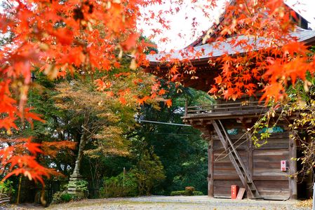 富谷観音仁王門の紅葉
