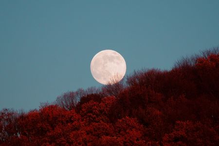 満月と紅葉