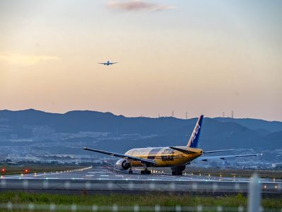 夕陽のたくあん