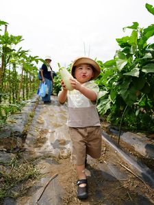 白ナス取れた！