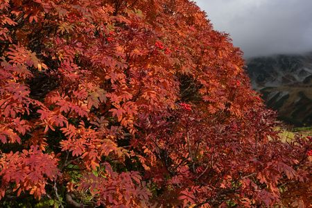 北アルプスの秋