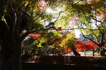 光と影・赤と緑