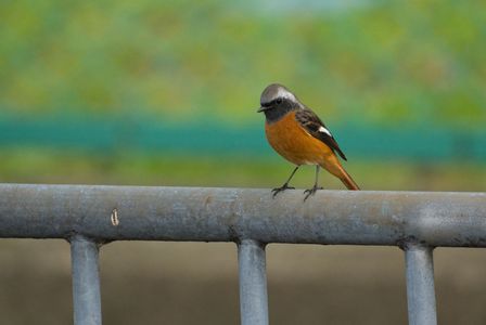 もう秋は終わりなのか…