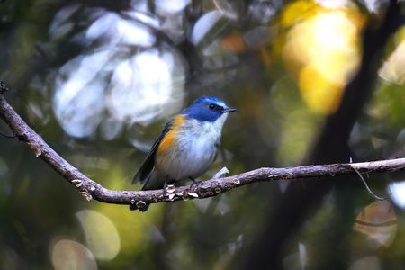 冬の森に帰ってきました。😎
