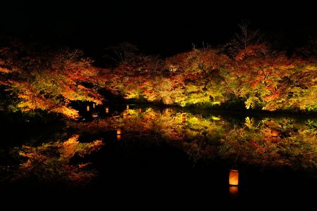 御船山楽園ライトアップ🤗🍁