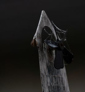 壊れかけの風車