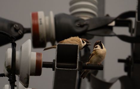 鉄骨マンションの住人