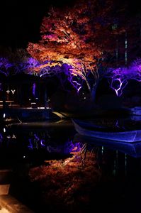 秋保ナイトミュージアム