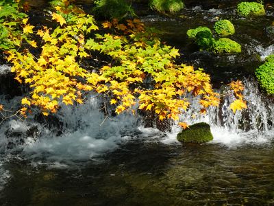 湧水の秋