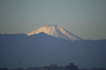 朝の富士山