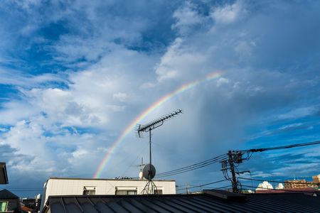 朝日の虹
