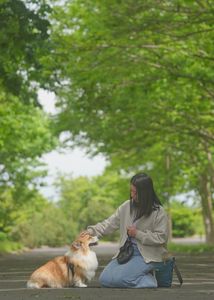 緑のトンネル、優しい時間