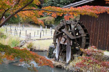 水車とモミジ
